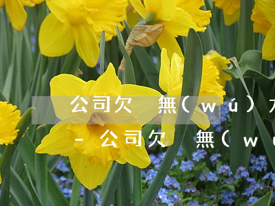 公司欠稅無(wú)力償還法人有什么后果-公司欠稅無(wú)力償還法人有什么后果嗎