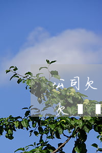 公司欠稅無力償還怎么辦最好的方法-公司欠稅無力償還怎么辦最好的方法是