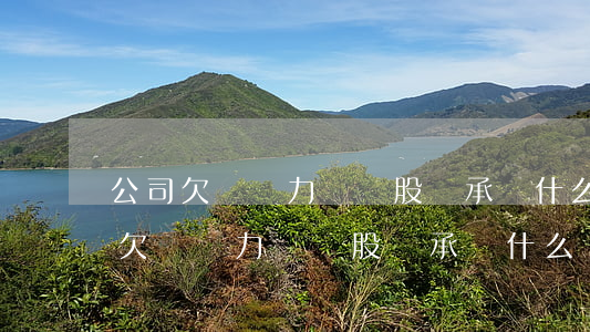 公司欠稅無力償還股東承擔什么責任-公司欠稅無力償還股東承擔什么責任和義務(wù)