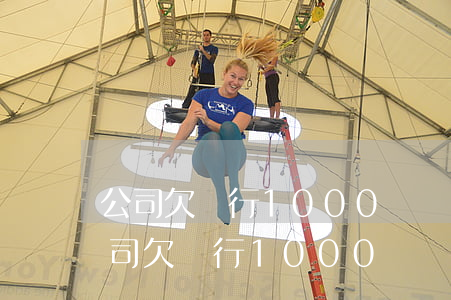 公司欠銀行1000萬無力償還判幾年-公司欠銀行1000萬無力償還判幾年?