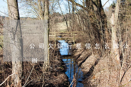 公司欠銀行幾億怎么辦(公司欠銀行幾億怎么辦)