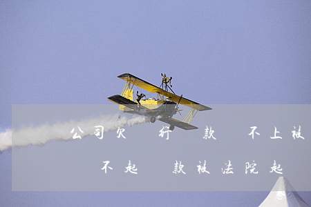 公司欠銀行貸款還不上被起訴了怎么辦（公司還不起貸款被法院起訴）