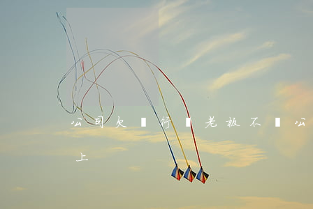 公司欠銀行錢老板不還(公司欠銀行的錢還不上)