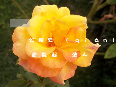 公司欠錢(qián)可以起訴董事(公司欠款能起訴法人嗎)