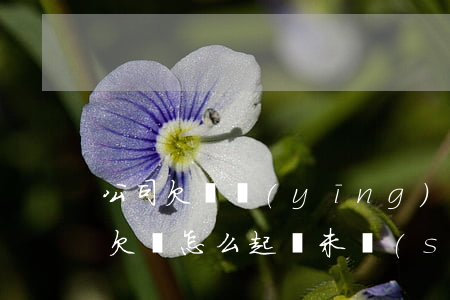 公司欠錢應(yīng)該怎么起訴-公司欠錢怎么起訴未實(shí)繳注冊(cè)資金