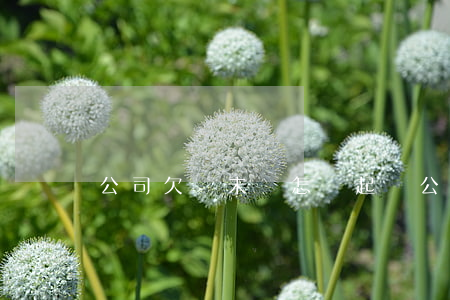 公司欠錢未還怎樣起訴（公司欠錢未還怎樣起訴）