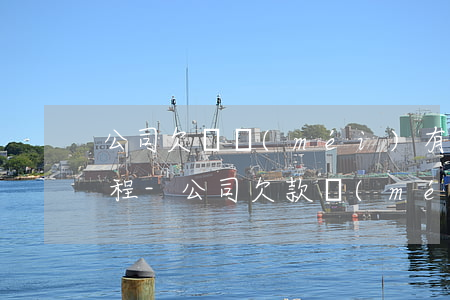 公司欠錢沒(méi)有合同有欠條起訴流程-公司欠款沒(méi)有欠條可以起訴嗎