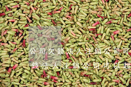 公司欠錢法人注銷公司可以起訴嗎-公司欠錢法人注銷公司可以起訴嗎怎么辦