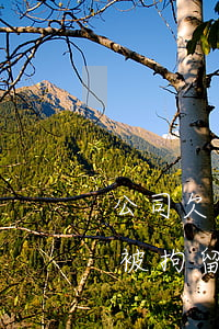 公司欠錢為什么要被拘留十五天(欠錢被起訴被拘留了15天之后還會(huì)被拘留嗎)