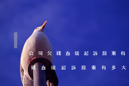 公司欠錢直接起訴股東有多大把握-公司欠錢直接起訴股東有多大把握呢