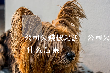 公司欠錢被起訴-公司欠錢被起訴法人會有什么后果