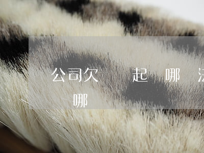 公司欠錢該起訴哪個法院管轄（公司欠錢該起訴哪個）