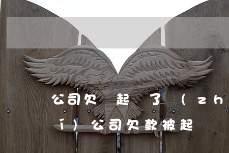 公司欠錢起訴了執(zhí)行誰(shuí)(公司欠款被起訴)