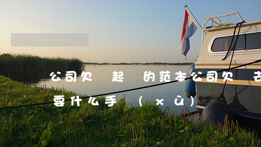 公司欠錢起訴的范本(公司欠錢去法院起訴需要什么手續(xù))