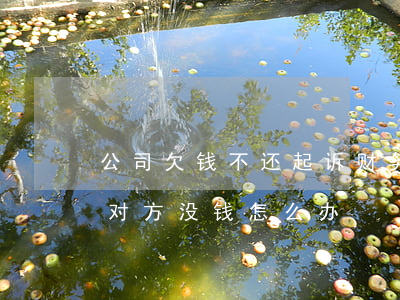 公司欠钱不还起诉财务(公司欠款不还,起诉了,对方没钱怎么办)