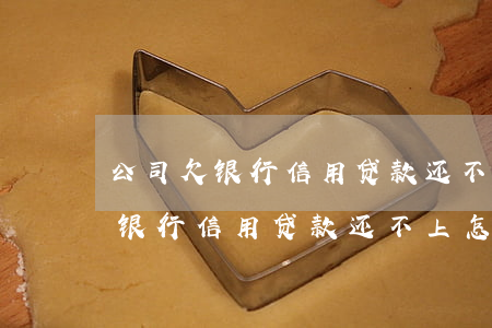 公司欠银行信用贷款还不上怎么办-公司欠银行信用贷款还不上怎么办呢