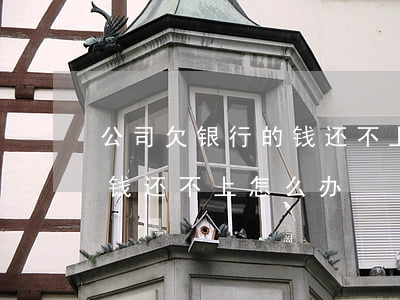 公司欠银行的钱还不上会怎样(公司欠银行的钱还不上怎么办)