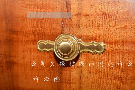 公司欠银行钱如何起诉(公司欠银行钱如何起诉法院)