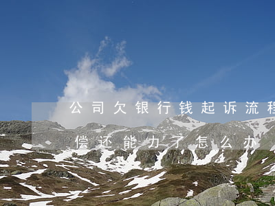 公司欠银行钱起诉流程(公司欠银行的钱没有偿还能力了怎么办)