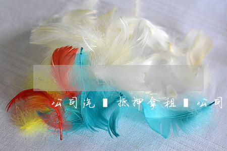 公司汽車抵押，拿租賃公司汽車抵押