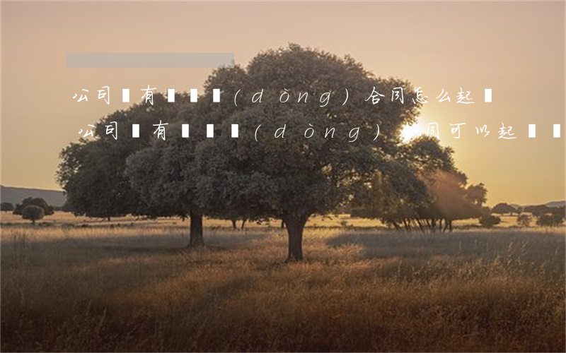 公司沒有簽勞動(dòng)合同怎么起訴(公司沒有簽勞動(dòng)合同可以起訴嗎)