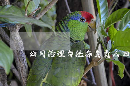 公司治理与法务负责人（四）