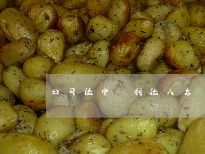 公司法中營利法人名稱的登記