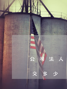 公司法人交稅可以買房嗎(以公司名義買房要交多少稅)