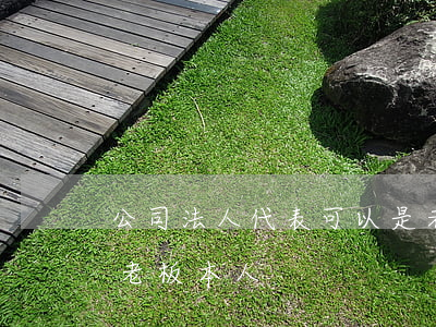公司法人代表可以是老板吗(公司的法人不是老板本人)