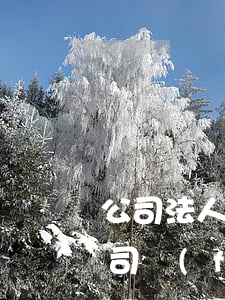 公司法人代表離職可以嗎(法人代表辭職后公司發(fā)生糾紛會有責任嗎)