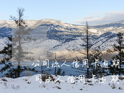 公司法人信用卡逾期了可不可以做法人-公司法人信用卡逾期了可不可以做法人貸款