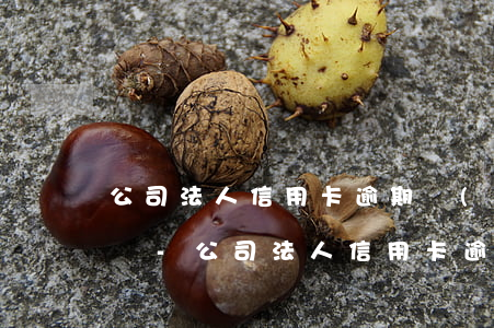 公司法人信用卡逾期對(duì)公司的影響-公司法人信用卡逾期對(duì)公司的影響有哪些
