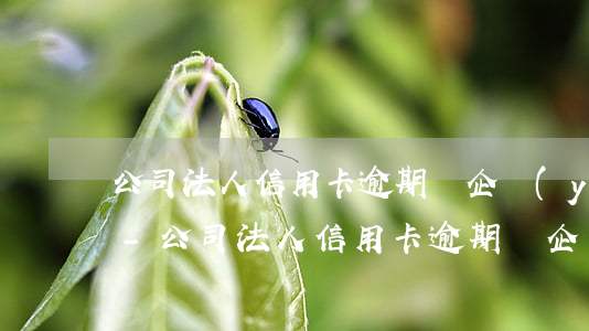 公司法人信用卡逾期對企業(yè)的影響-公司法人信用卡逾期對企業(yè)的影響有哪些