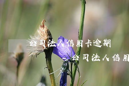 公司法人信用卡逾期會凍結(jié)公司賬戶嗎-公司法人信用卡逾期會凍結(jié)公司賬戶嗎