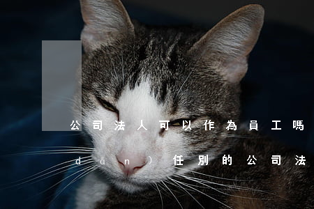公司法人可以作為員工嗎(公司員工可以擔(dān)任別的公司法人嗎)