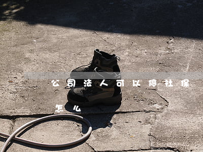 公司法人可以停社保嗎(公司倒閉了法人社保怎么辦)