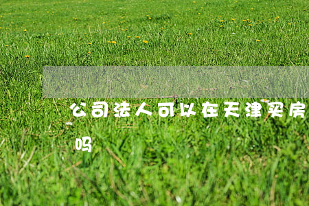 公司法人可以在天津买房吗(法人可以买房子吗)