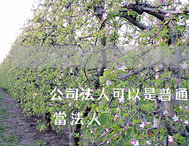 公司法人可以是普通員工嗎(公司讓普通員工當法人)