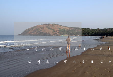 公司法人可以注銷公司嗎(有限責(zé)任公司法人可以注銷公司嗎)
