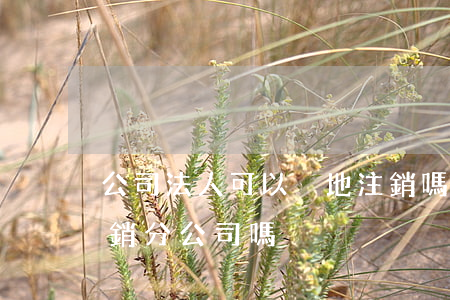 公司法人可以異地注銷嗎(分公司法人可以注銷分公司嗎)