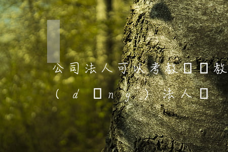 公司法人可以考教師嗎(教師可以注冊公司當(dāng)法人嗎?)