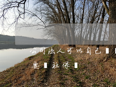 公司法人可以自己購買社保嗎(公司法人必須要買社保嗎)