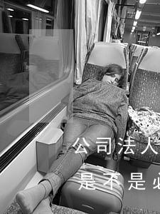 公司法人可以買(mǎi)社保嗎(公司法人是不是必須買(mǎi)社保)
