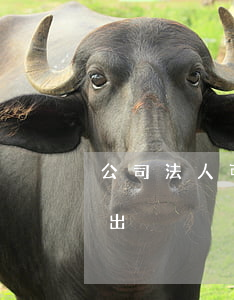 公司法人可以退社保嗎(為什么法人社保退不出)