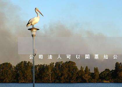 公司法人可以開票給公司嗎