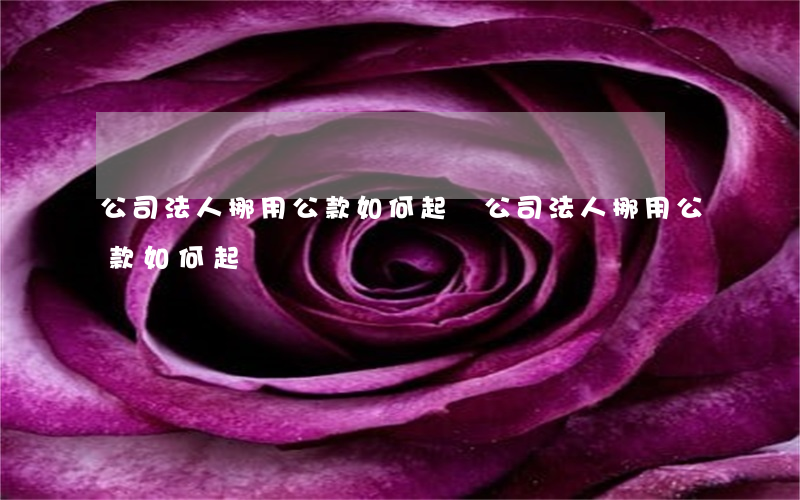 公司法人挪用公款如何起訴(公司法人挪用公款如何起訴)