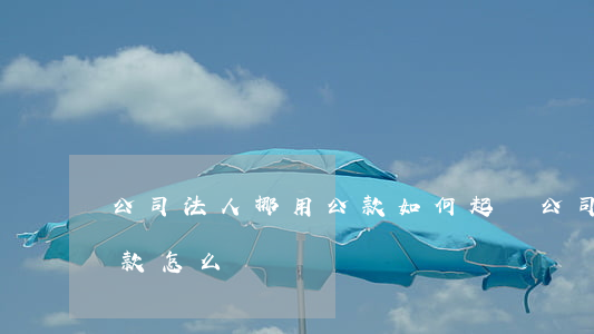 公司法人挪用公款如何起訴，公司法人挪用公款怎么辦