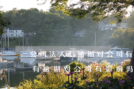 公司法人有逾期对公司有影响吗-公司法人有逾期对公司有影响吗知乎