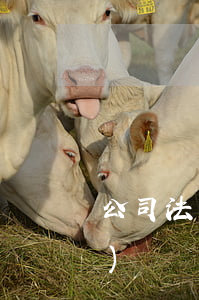 公司法人欠款可以查封公司財產(chǎn)嗎(個人欠款可以查封公司財產(chǎn)嗎)