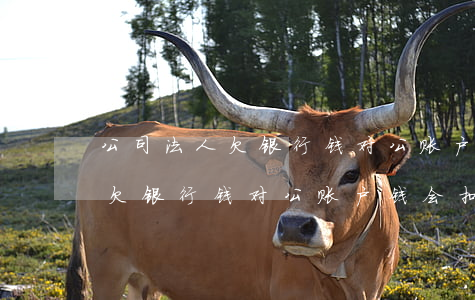 公司法人欠银行钱对公账户有影响么-法人欠银行钱对公账户钱会扣吗
